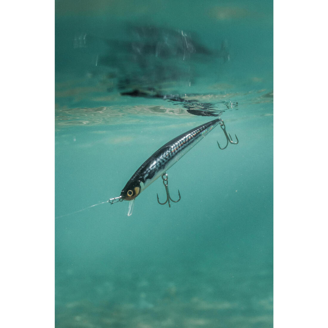 IMG_8589099_7