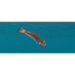 Product thumbnail 8 of 10