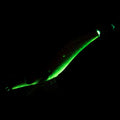 IMG_8588930_5