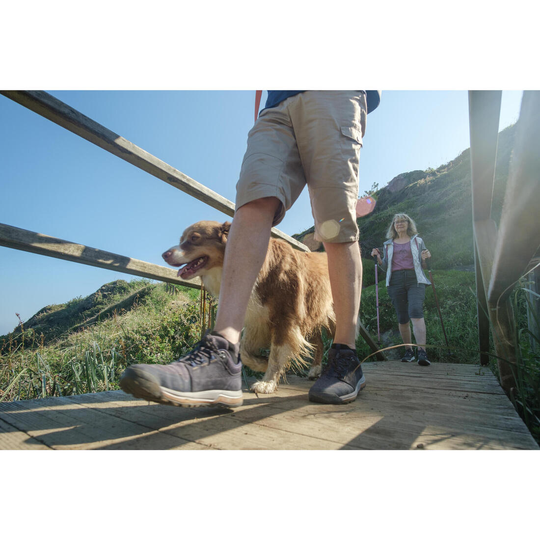 IMG_8644362_8