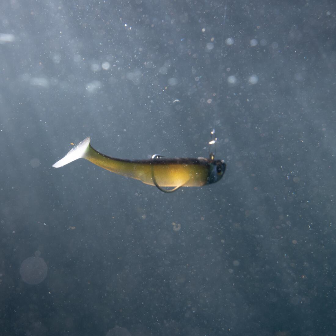IMG_8559778_7