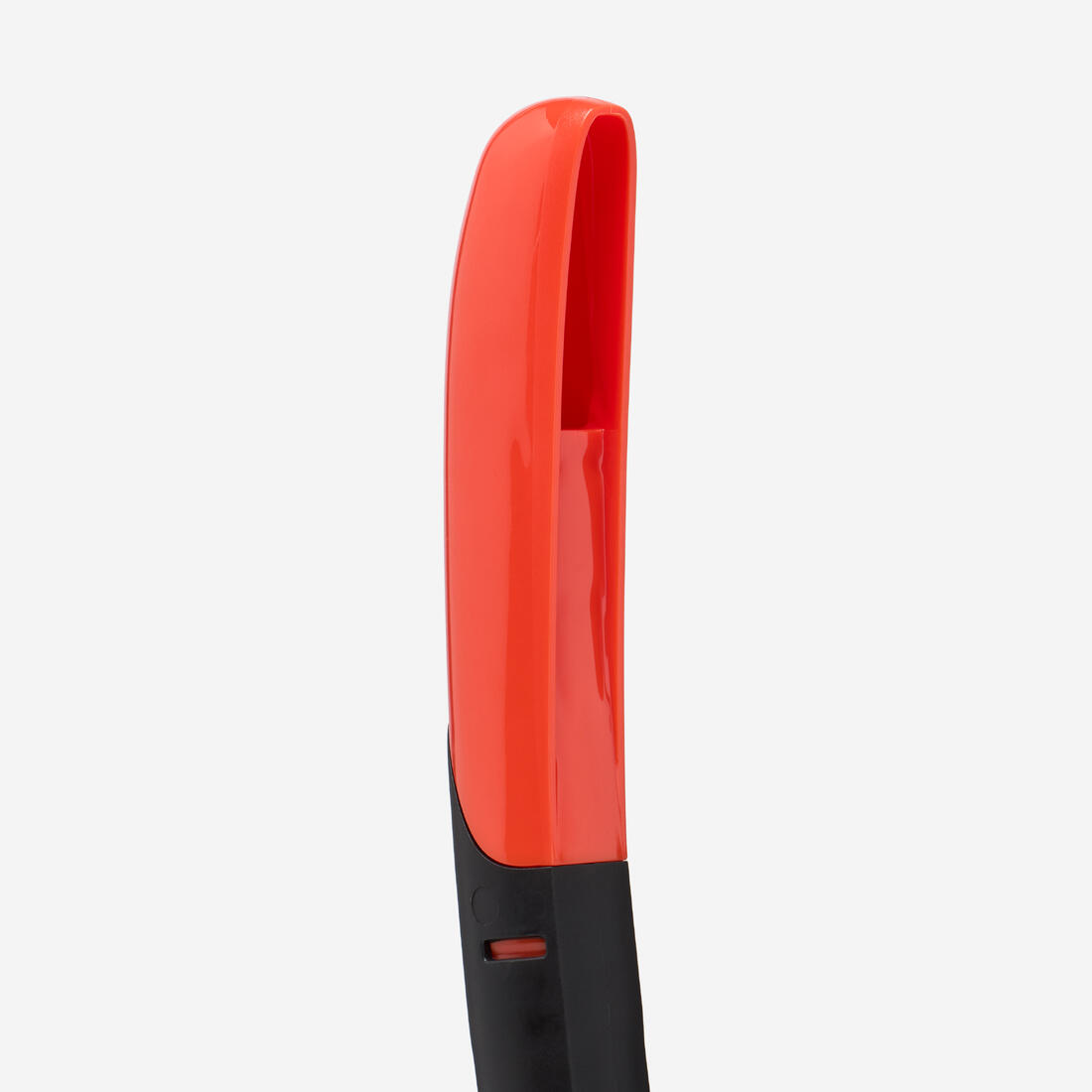 IMG_9002856_2
