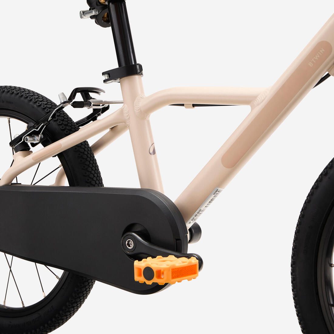 IMG_8911070_9
