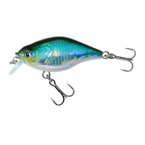 





POISSON NAGEUR CRANKBAIT SHALLOW RUNNER WXM CRKSR 40 F